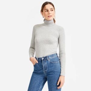 Everlane Pima Microrib Gray Turtleneck